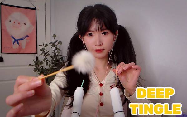 [芝麻对辣]酥麻到天灵盖超深入采耳|不同麦不同材质的模拟耳道 | ASMR番茄助眠