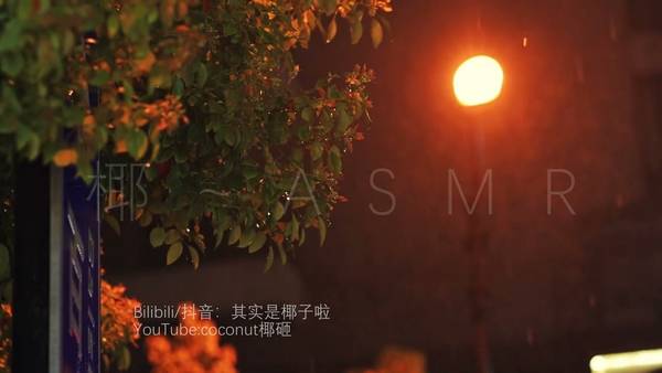 [S椰子]舒服的口腔音体验|通过耳舐找到平静和放松|KU100 | ASMR番茄助眠