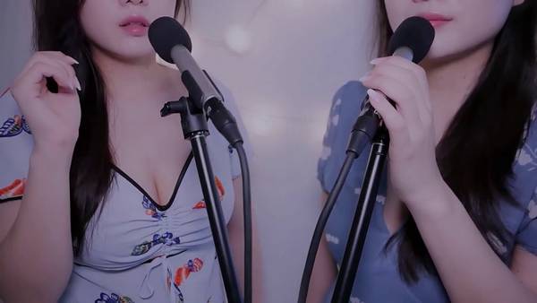 MELODY双人口腔音、呼吸音、吹耳|无人声 | ASMR番茄助眠