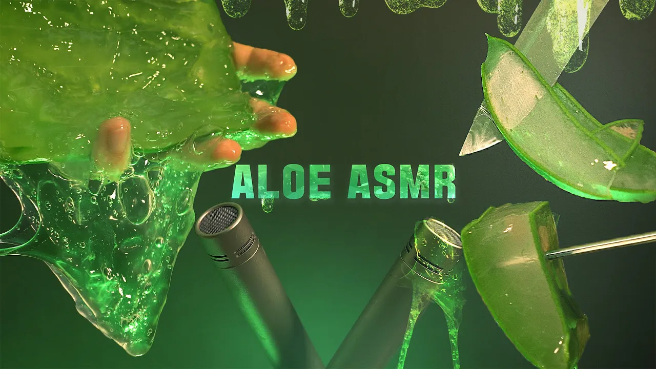[Suna]芦荟按摩|芦荟切片|ASMR免疫|无人声 | ASMR番茄助眠